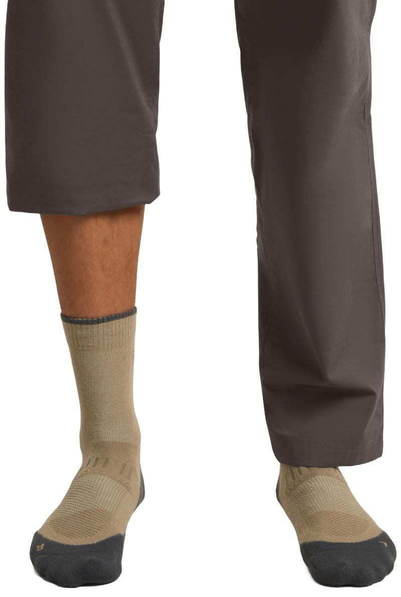 Merino Hike+ Crew Socks - Light - Mens - cumin / obsidian 1
