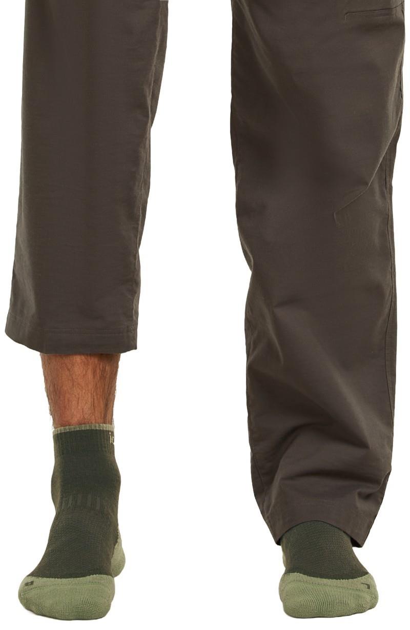 Merino Hike+ Mini Socks - Light - Mens - dark loden / lichen 1