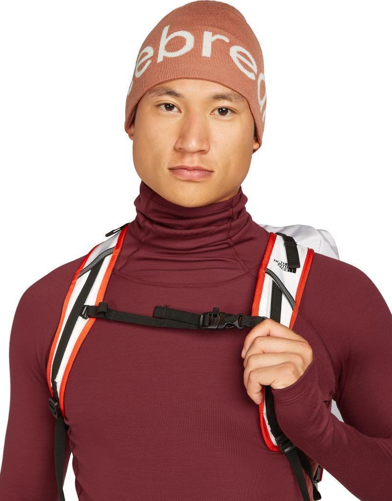 Merino Icebreaker Beanie - cedarwood / ecru heather 1