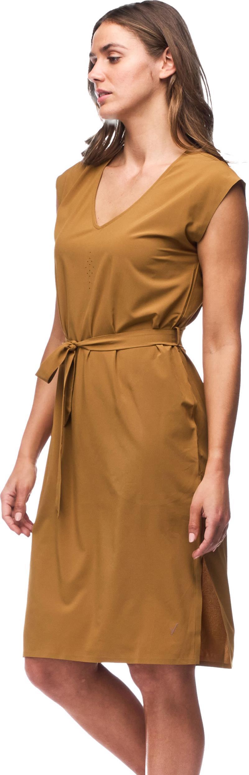 Anya Dress - Bronze 2