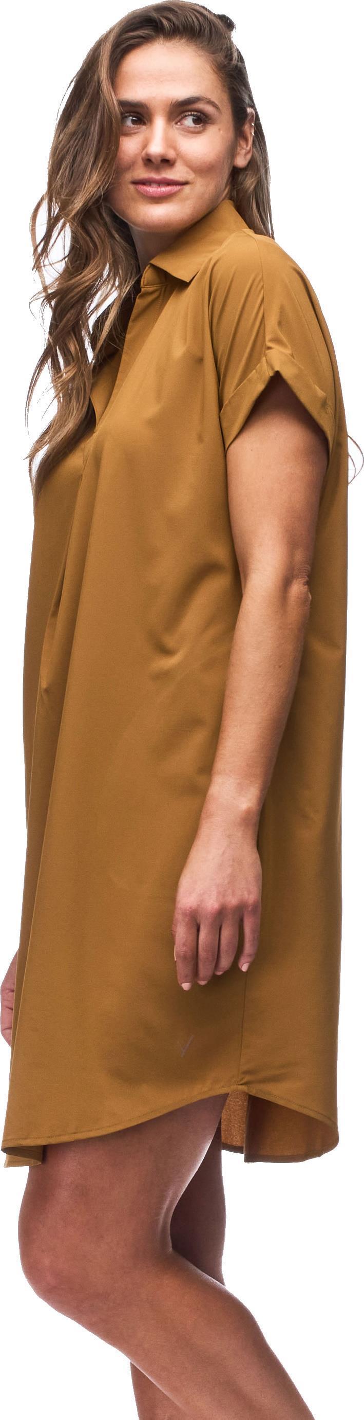 Frivol Dress - Bronze 3