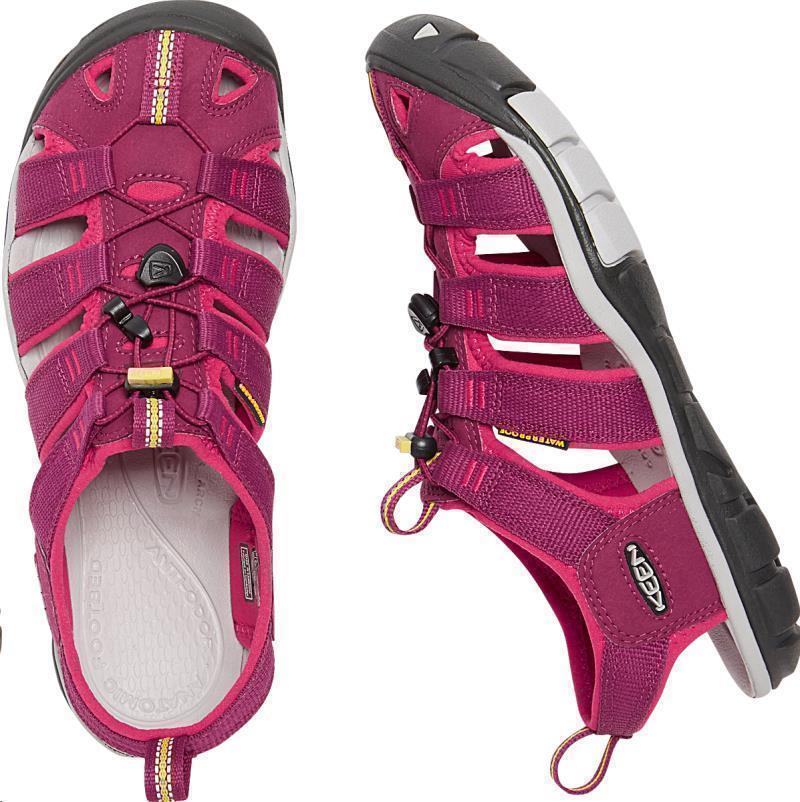 Clearwater CNX - Womens - Anemone / Acacia 4