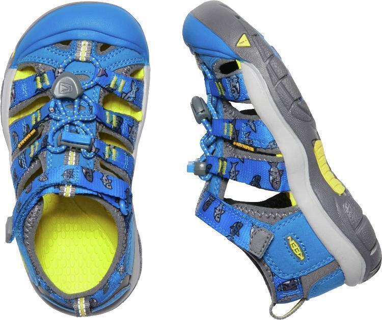 Newport H2 - Children - vibrant blue 1