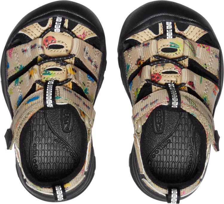 Newport H2 - Toddler - Insect Collection 4