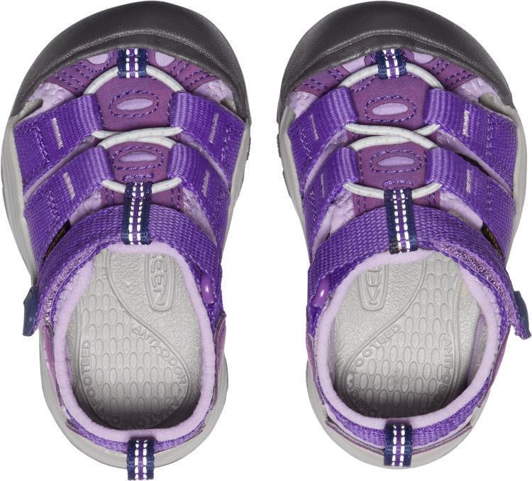 Newport H2 - Toddler - Tillandsia Purple / English Lavender 4