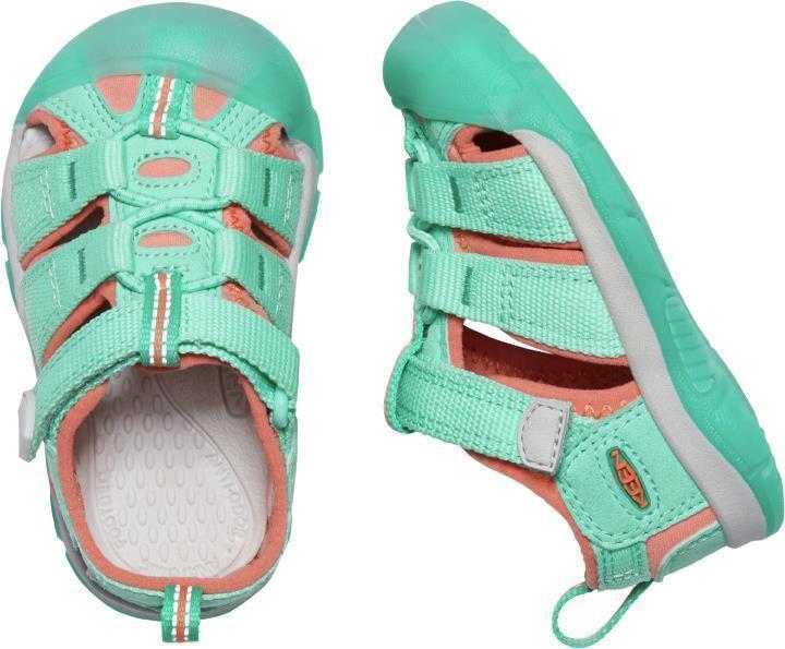 Newport H2 - Toddler - cockatoo / coral 1