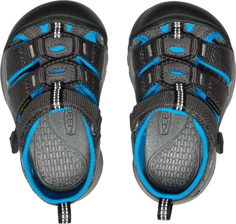 Newport H2 - Toddler - magnet / brilliant blue 1