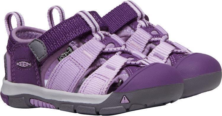 Newport H2 - Toddler - majesty / lupine 1