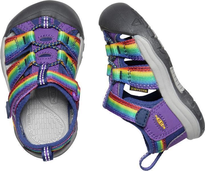 Newport H2 - Toddler - multi / tillandsia purple 1