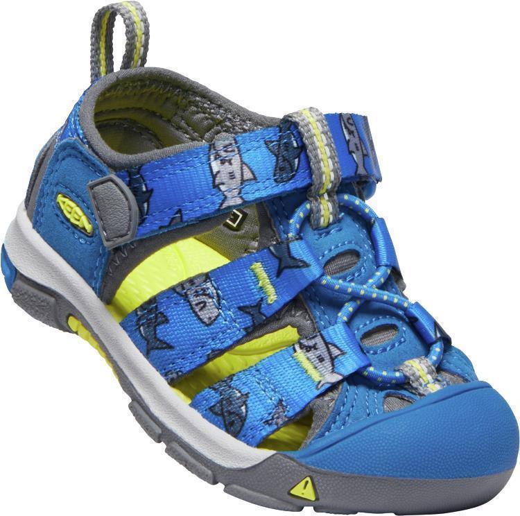 Newport H2 - Toddler - vibrant blue sharks 1