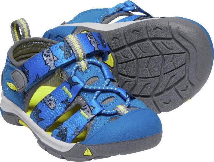 Newport H2 - Toddler - vibrant blue sharks 1