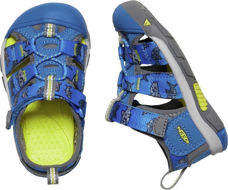 Newport H2 - Toddler - vibrant blue sharks 1