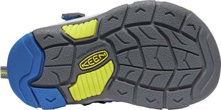 Newport H2 - Toddler - vibrant blue sharks 1