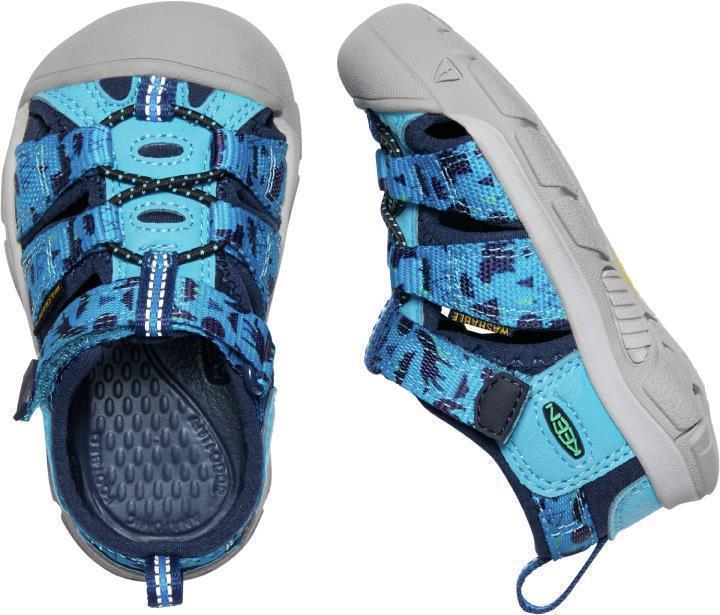 Newport H2 - Toddler - vivid blue / katydid 1