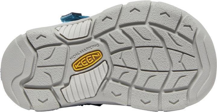 Newport H2 - Toddler - vivid blue / katydid 1