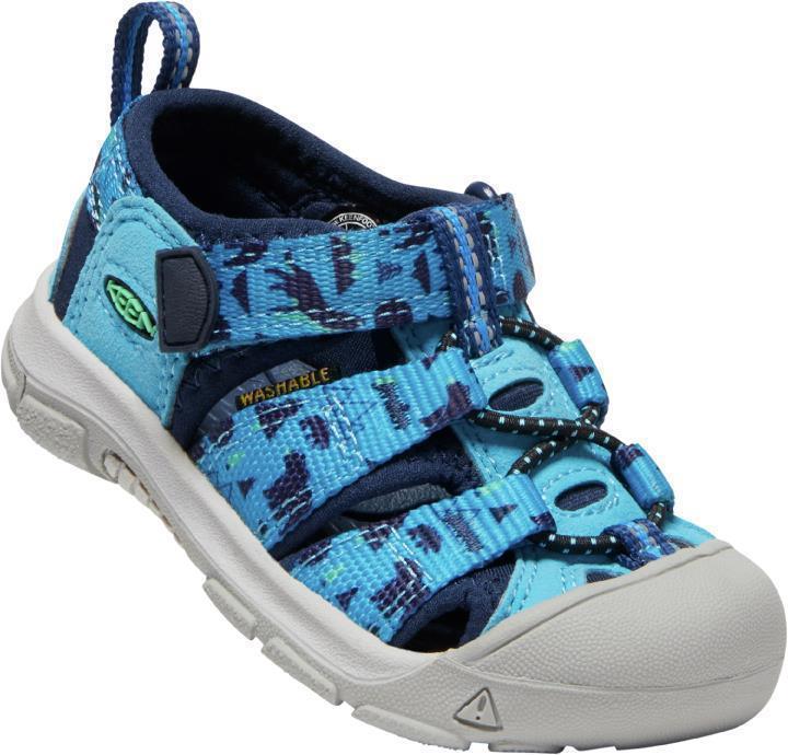 Newport H2 - Toddler - vivid blue / katydid 1