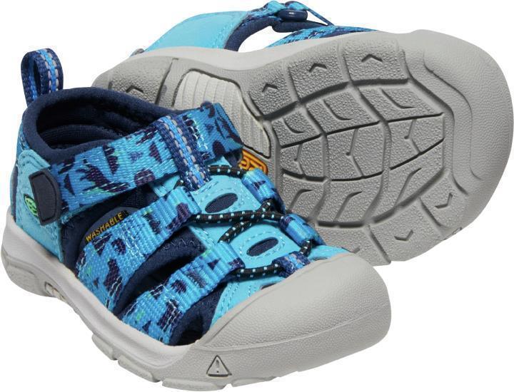 Newport H2 - Toddler - vivid blue / katydid 1