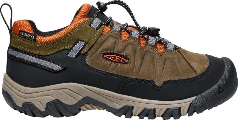Targhee IV Low WP - Youth - dark olive / gold flame 1