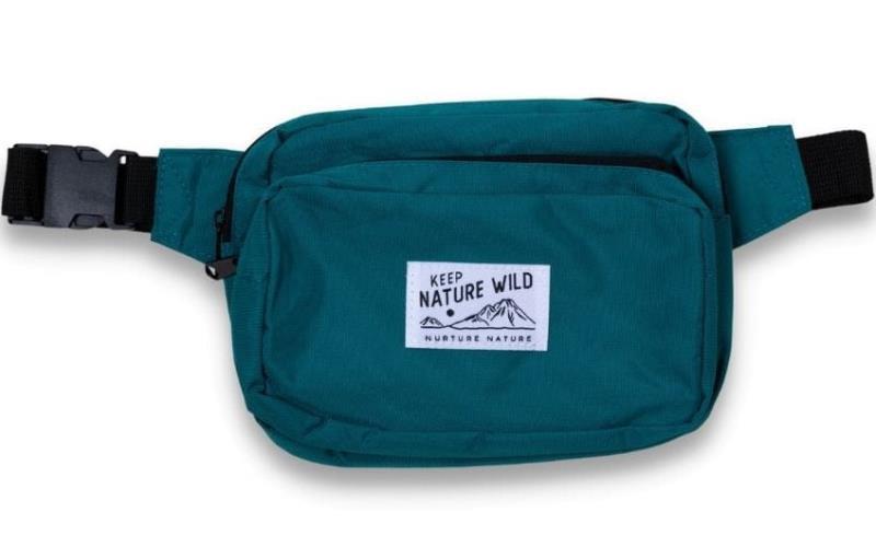 Everyday Fanny Pack - Teal 1