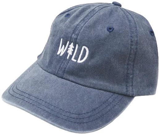 Wild Pine Dad Hat - faded navy 1