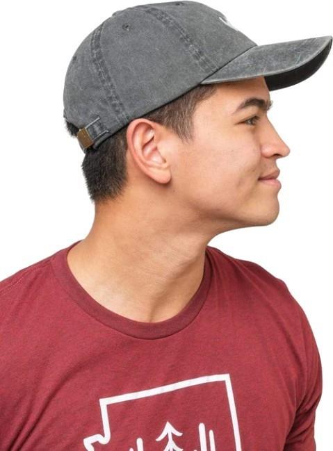Wild Pine Dad Hat - smoke 1