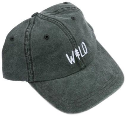 Wild Pine Dad Hat - spruce 1