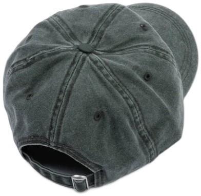 Wild Pine Dad Hat - spruce 1