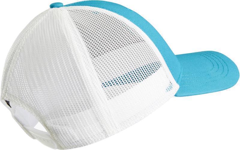 Born Trucker - Aqua 2