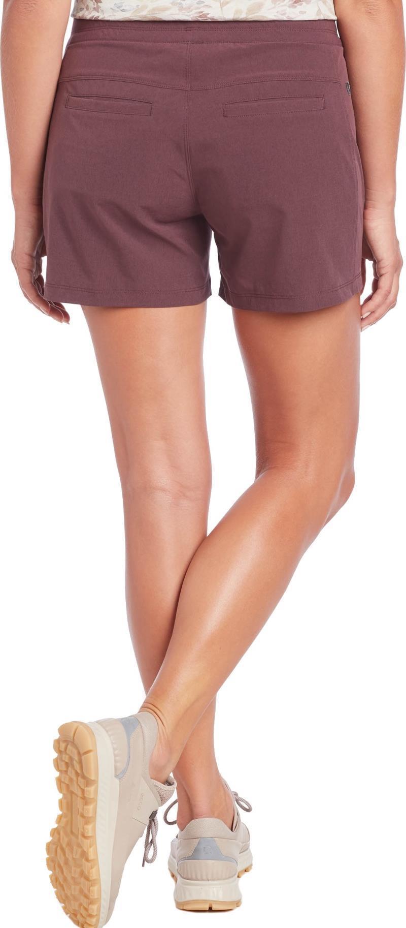 Freeflex Shorts, 4" Inseam - Womens - Barberry 2