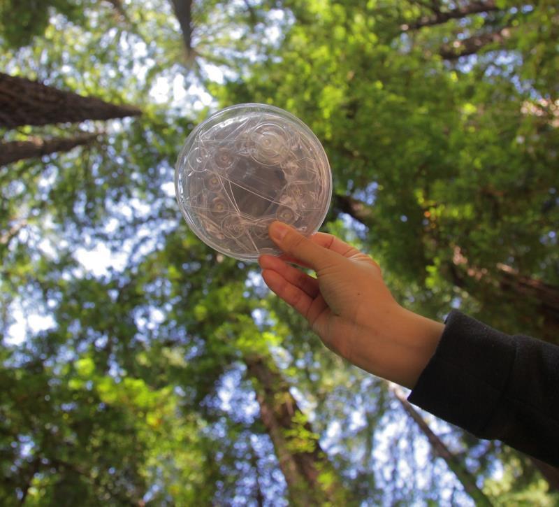 Outdoor 2.0 - 75-Lumens - Not Applicable 6