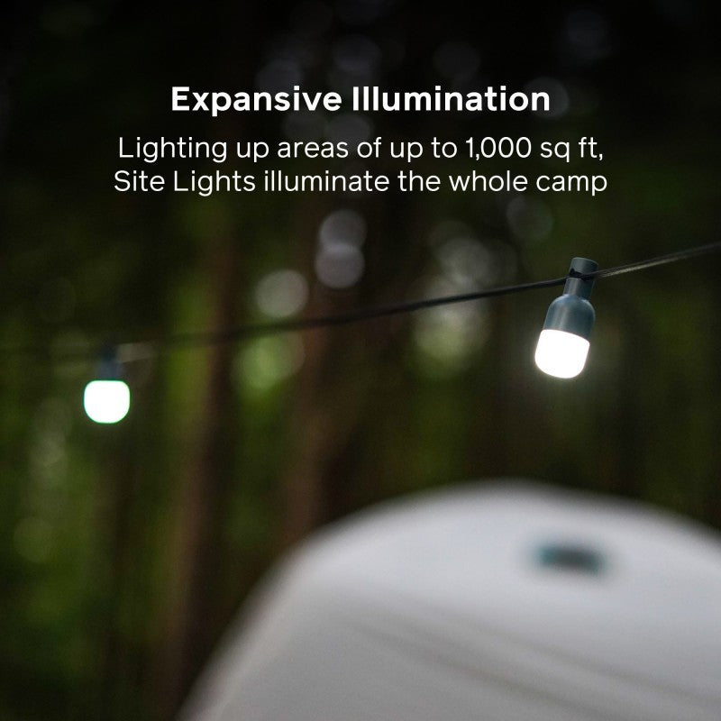 Site Lights - not applicable 1