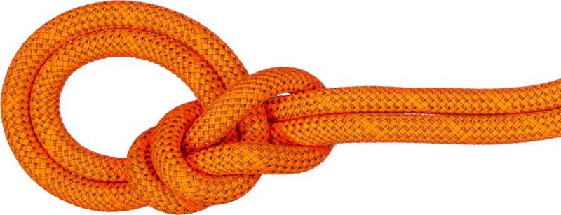 Crag 9.8mm x 70m - Dry - vibrant orange / boa 1
