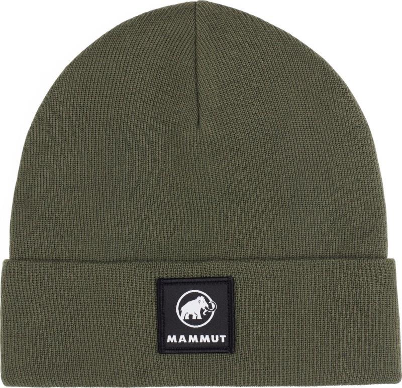 Fedoz Beanie - dark marsh 1