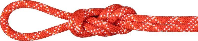 Gym 9.5mm x 40m - Classic - boa / white 1