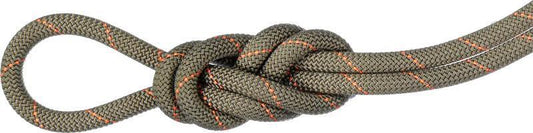 Gym Workhorse 9.9mm x 30m - Classic Rope - boa 1