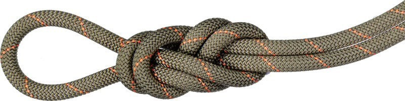 Gym Workhorse 9.9mm x 40m - Classic Rope - boa 1