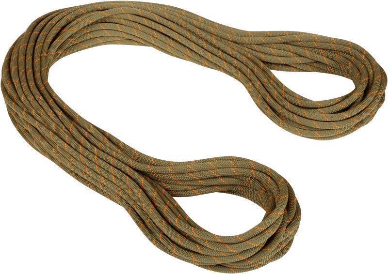 Gym Workhorse 9.9mm x 40m - Classic Standard - Boa 1