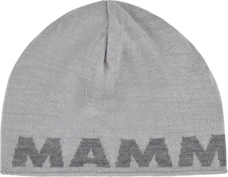 Mammut Logo Beanie - Platinum / Alloy 1