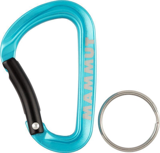 Mammut Mini Carabiner Classic Keylock S - Blue 1