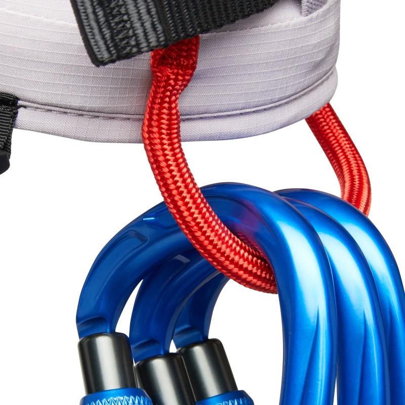 Ophir 2.0 Harness - Kids - alpine calamint / mammut red 1
