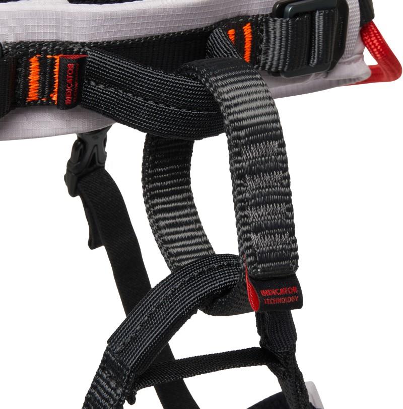 Ophir 2.0 Harness - Kids - alpine calamint / mammut red 1