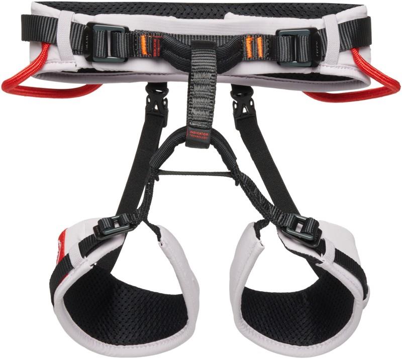 Ophir 2.0 Harness - Kids - alpine calamint / mammut red 1