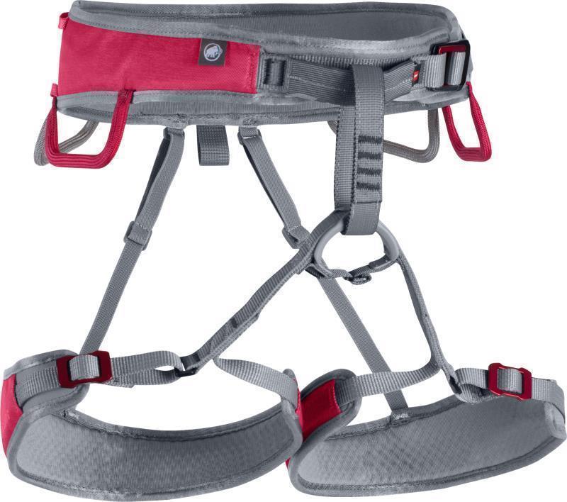 Ophir Fast Adjust Harness - Womens - Dark Magenta / Iron 1