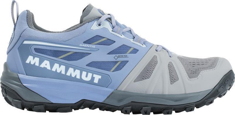 Saentis Low GTX - Womens - Light Titanium / Dark Zen 1
