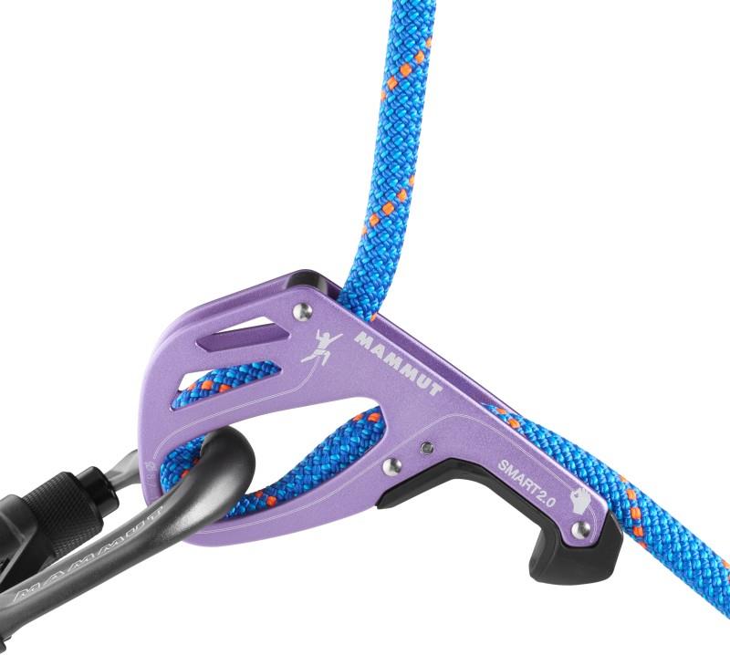 Smart 2.0 - alpine calamint 1
