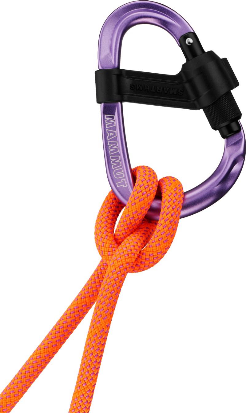 Smart HMS 2.0 Screw Gate Carabiner - Alpine Calamint - not applicable 1