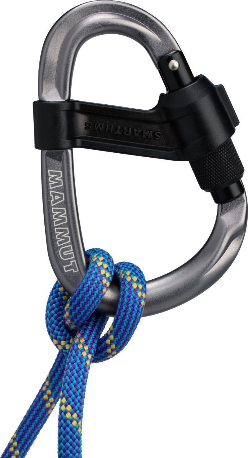 Smart HMS 2.0 Screw Gate Carabiner - Grey - Not Applicable 2