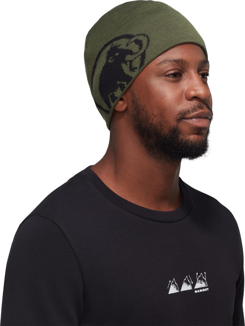 Tweak Beanie - Dark Marsh / Black 1