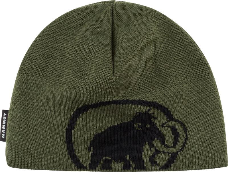 Tweak Beanie - Dark Marsh / Black 2