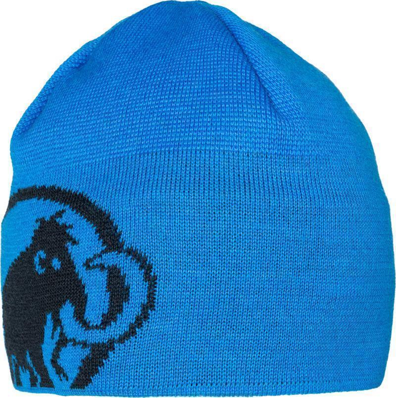 Tweak Beanie - Ice / Marine 1